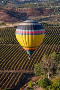 hot-air-balloon-flying-over-vineyard