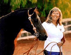 Wine Country Trails by Horseback